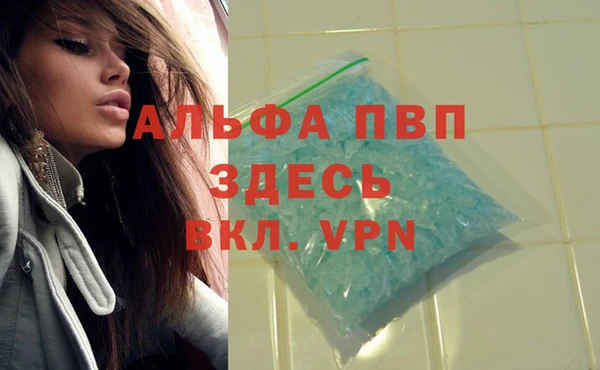 ПСИЛОЦИБИНОВЫЕ ГРИБЫ Богородск