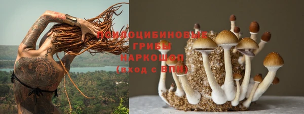 прущий лед Сафоново