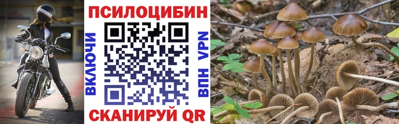 Галлюциногенные грибы MAGIC MUSHROOMS  ОМГ ОМГ сайт  Надым 